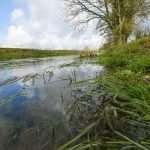 Near Neigh Bridge Country Park