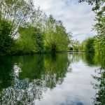 Longbridges Nature Park in Oxford. River Thames. UK