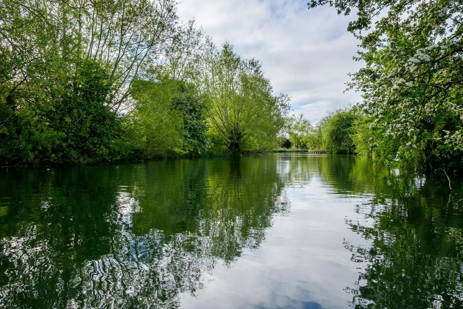 Longbridges Nature Park in Oxford. River Thames. UK