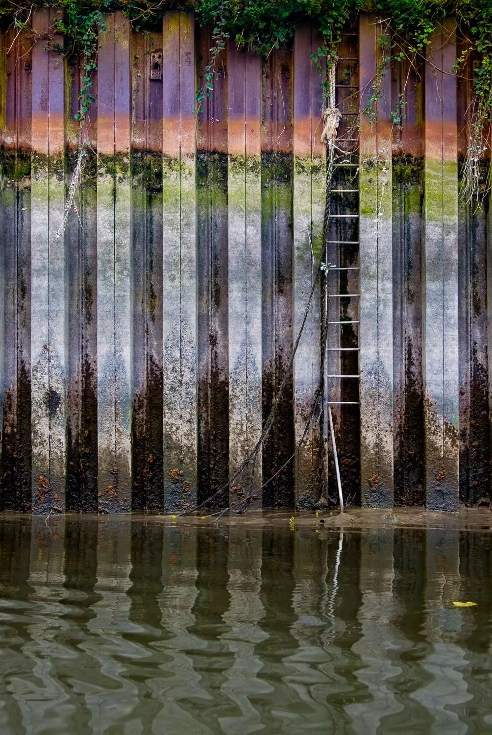 Exhibition. The River Within – London at the Riverside Gallery