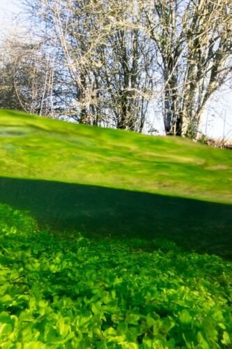 The Thames underwater near Kemble. River Thames. UK.