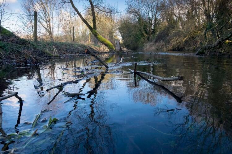 River Thames, up river from Ashton Keynes village, UK
