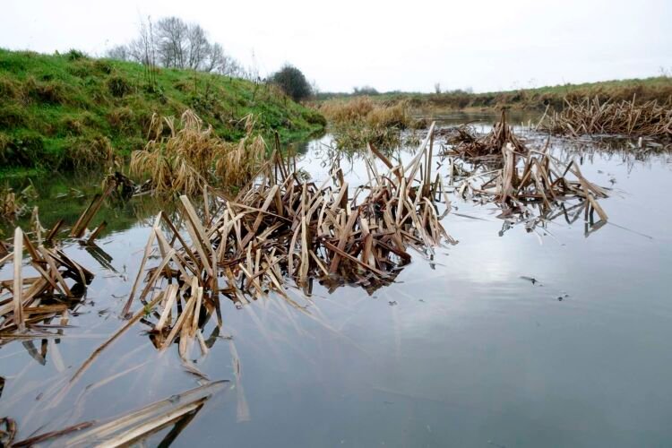 River Thames, up-river from Lechlade, UK.