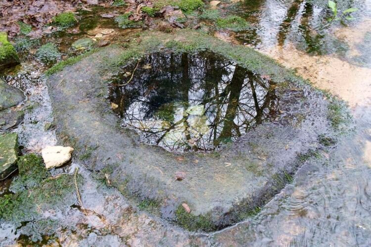 Lyd Well, near Kemble. River Thames.