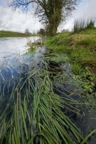 Near Neigh Bridge Country Park