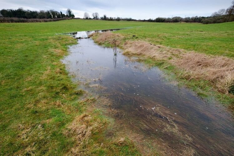 Thames Head, Kemble. Cotswolds, UK.