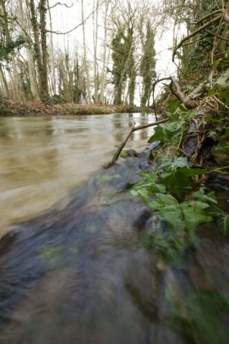Near Neigh Bridge Country Park