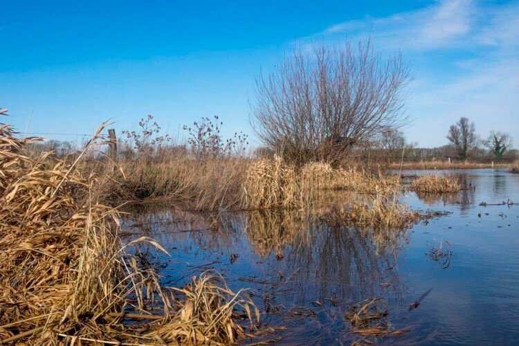River Thames, downriver from Kempsford.