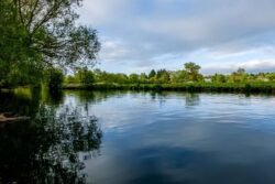 Longbridges Nature Park in Oxford. River Thames. UK