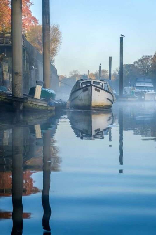 16. Strawberry Vale.