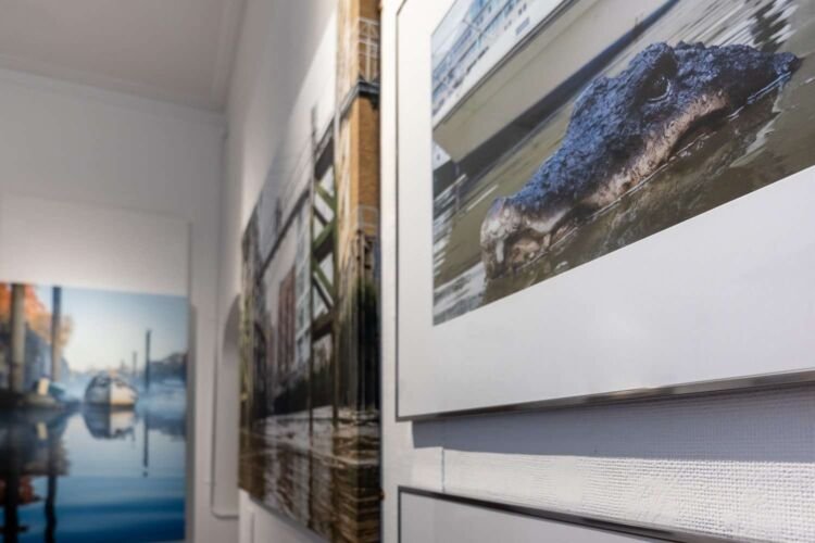 The River Within - London. Exhibition at the Riverside Gallery 2019