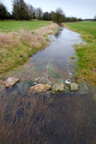 Thames Head, Kemble. Cotswolds, UK.