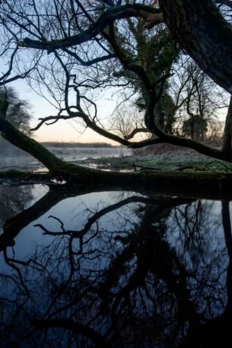 Dawn at Lyd Well. Water is currently emerging from underground forming the start of the River Thames Dawn at Lyd Well. Water is currently emerging from underground forming the start of the River Thames