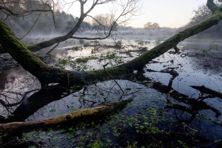 Dawn at Lyd Well. Water is currently emerging from underground forming the start of the River Thames Dawn at Lyd Well. Water is currently emerging from underground forming the start of the River Thames