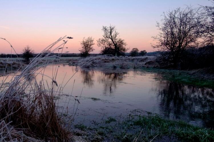 The course of the River Thames, 1.5 miles from the official Source of the river.
