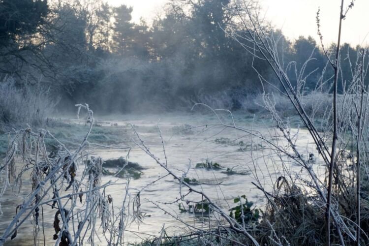 Dawn at Lyd Well. Water is currently emerging from underground forming the start of the River Thames