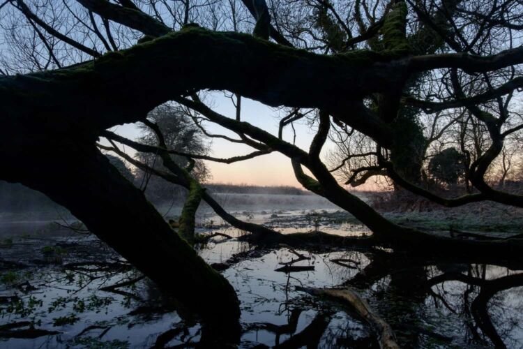 Dawn at Lyd Well. River Thames. UK.