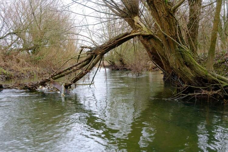 Cricklade - River Thames. UK.