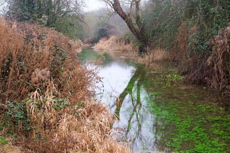 The River Thames, south of the A429, near Kemble.